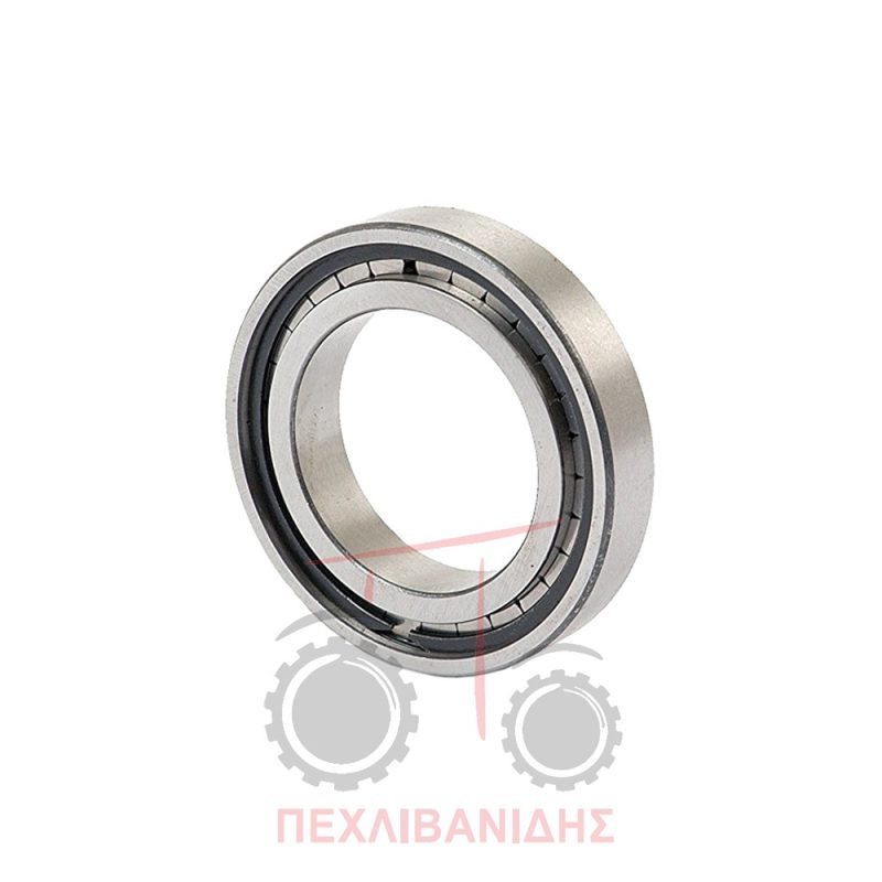 Ρουλεμάν σασμάν Massey Ferguson 165-188-290-590