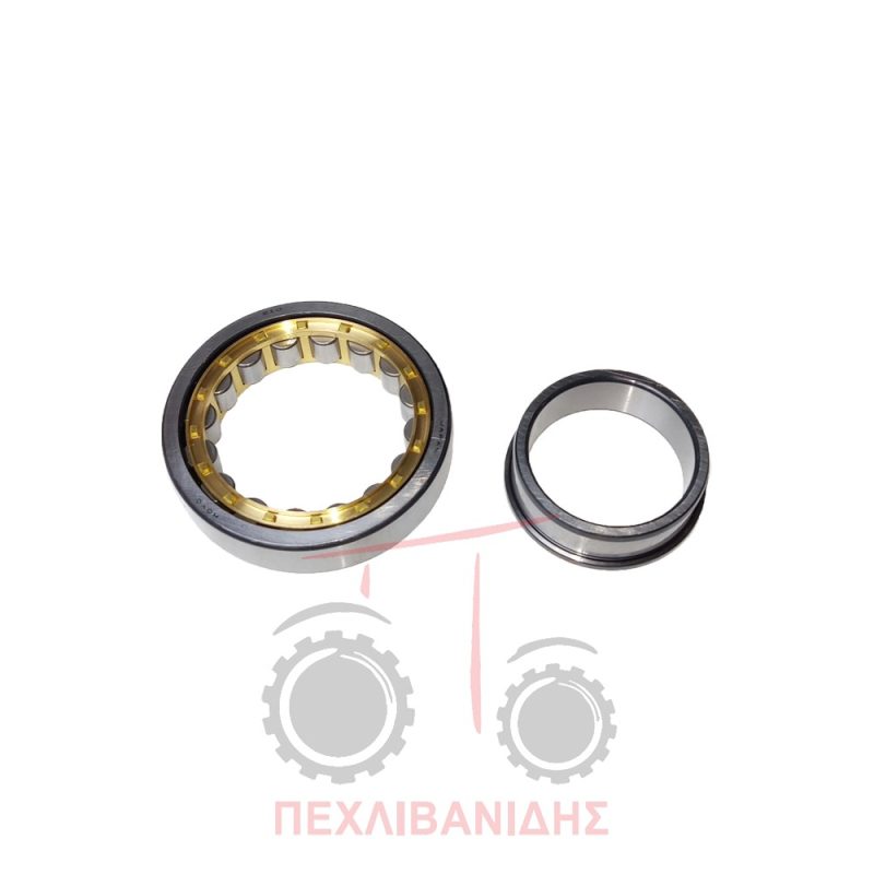 Ρουλεμάν σασμάν Massey Ferguson 1014-1114-1134