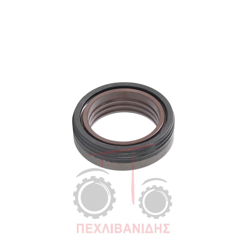 Τσιμούχα εμπρός διαφορικού Massey Ferguson 390-399-4200