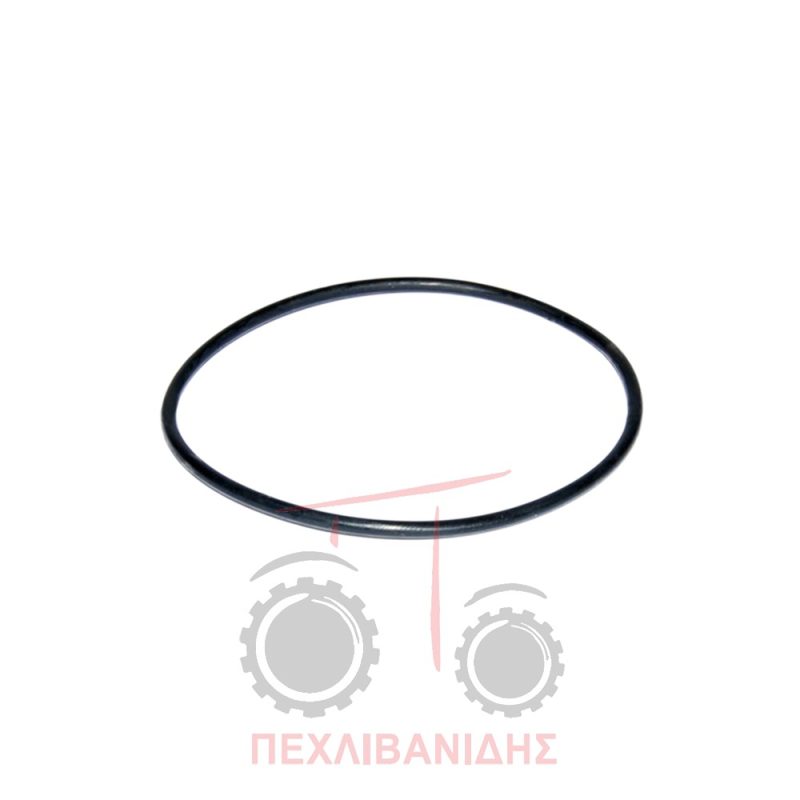 Όρινγκ εμπρός διαφορικού Massey Ferguson 2640-2680 Όρινγκ εμπρός διαφορικού Massey Ferguson 2640-2680