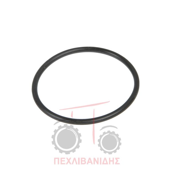 Όρινγκ εμπρός διαφορικού Massey Ferguson 390-398-399