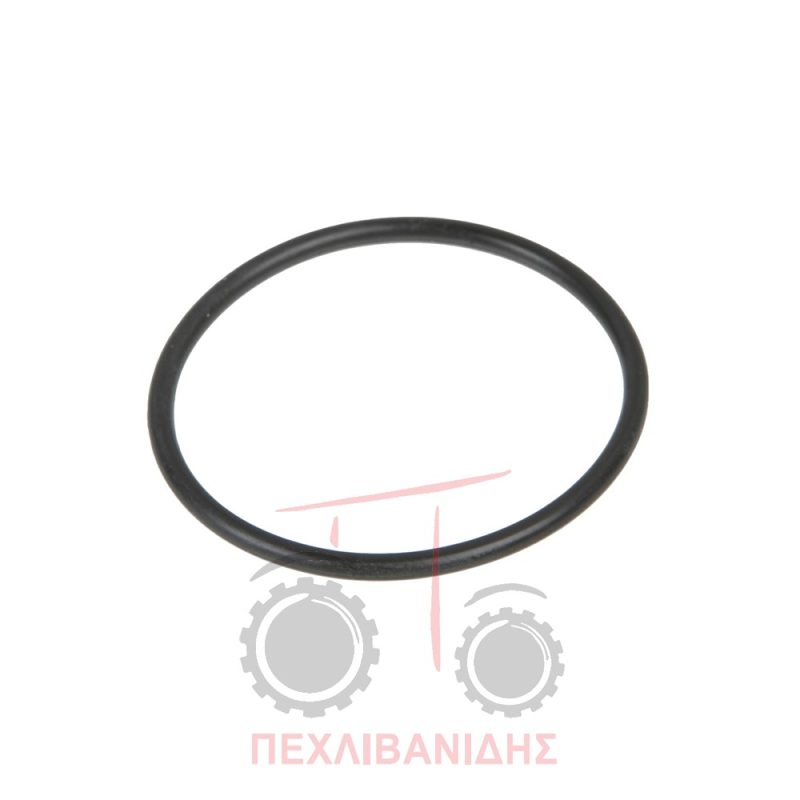 Όρινγκ εμπρός διαφορικού Massey Ferguson 390-398-399