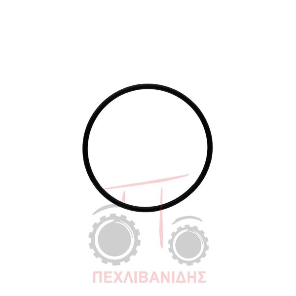 Όρινγκ διαφορικού Massey Ferguson 6290-3690-8140