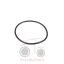 Όρινγκ διαφορικού Massey Ferguson 3080-3125-3655-3690
