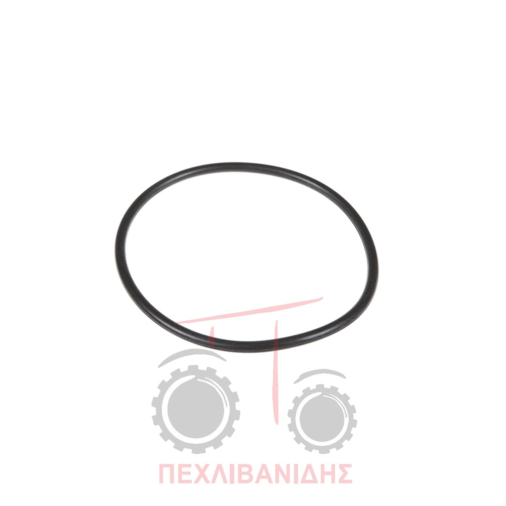 Όρινγκ διαφορικού Massey Ferguson 3080-3125-3655-3690