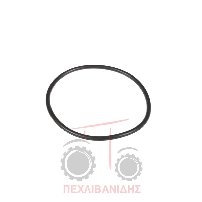 Όρινγκ διαφορικού Massey Ferguson 3080-3125-3655-3690 Όρινγκ διαφορικού Massey Ferguson 3080-3125-3655-3690