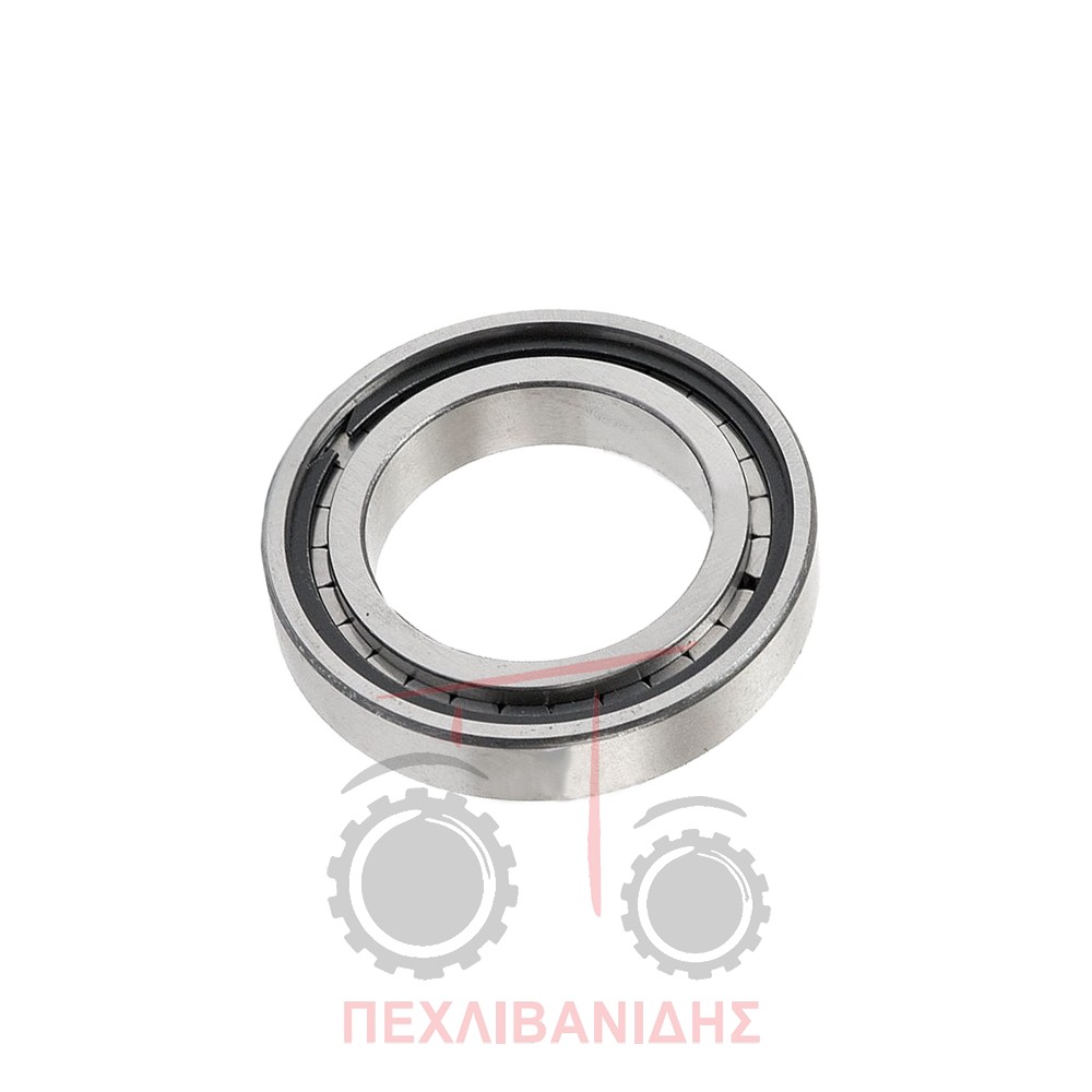 Ρουλεμάν σασμάν Massey Ferguson 165-188-290-590