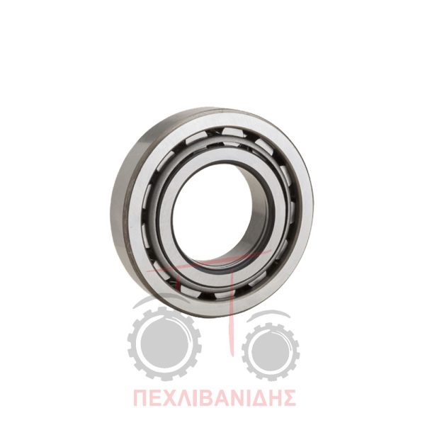 Ρουλεμάν σασμάν Massey Ferguson 398-399-590-690-699