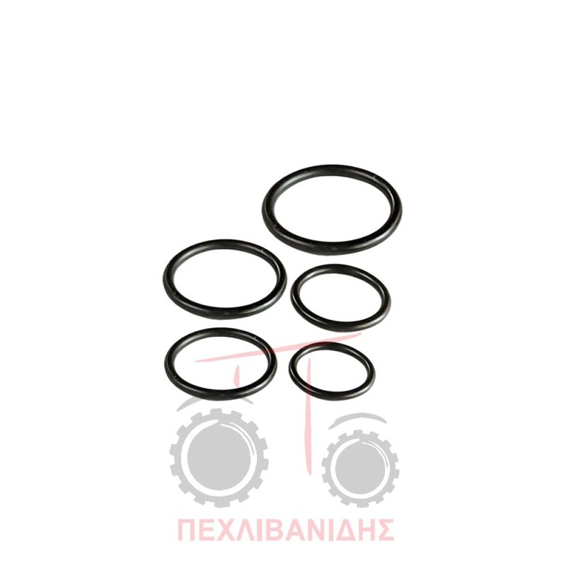 Σετ εμβόλου Massey Ferguson 3690-3655-8160
