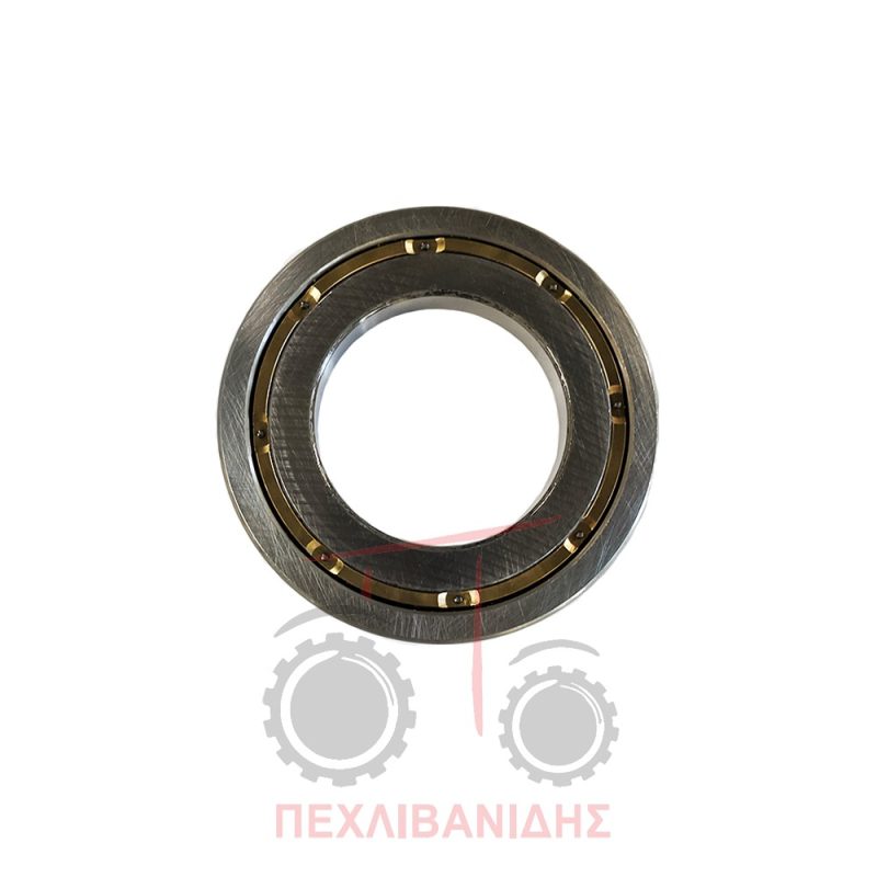 Ρουλεμάν σασμάν Massey Ferguson 290-390