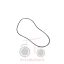 Όρινγκ μούλτι Massey Ferguson 3080-3125