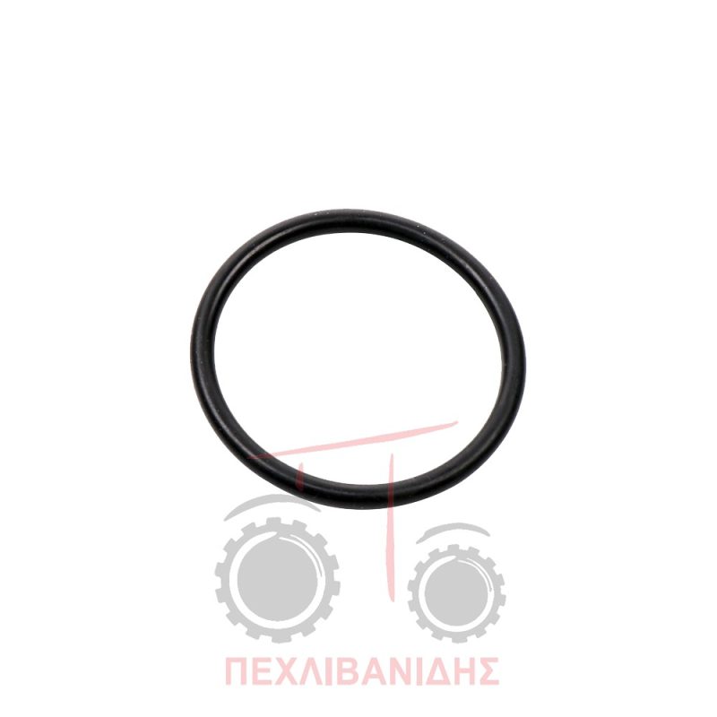 Όρινγκ σασμάν Massey Ferguson 5400-6400