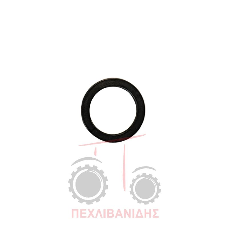 Ροδέλα εμπρός διαφορικού Massey Ferguson 290-390-399-4200 Ροδέλα εμπρός διαφορικού Massey Ferguson 290-390-399-4200