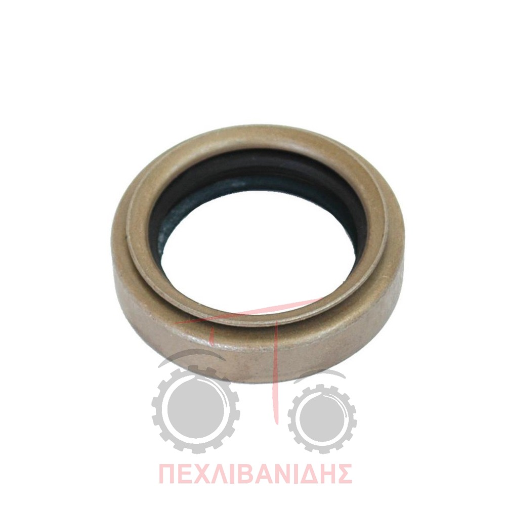 Τσιμούχα δίνει εμπρός διαφορικού Massey Ferguson 365-390-399-4200