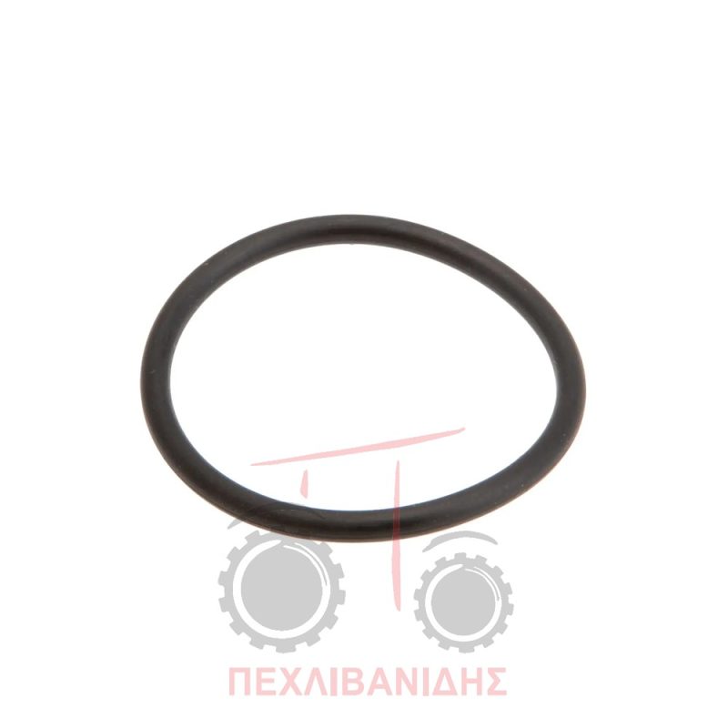 'Ορινγκ πείρου δίνει εμπρός διαφορικό Massey Ferguson 290-390-399
