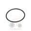 Όρινγκ εμπρός διαφορικού Massey Ferguson 390-398-399