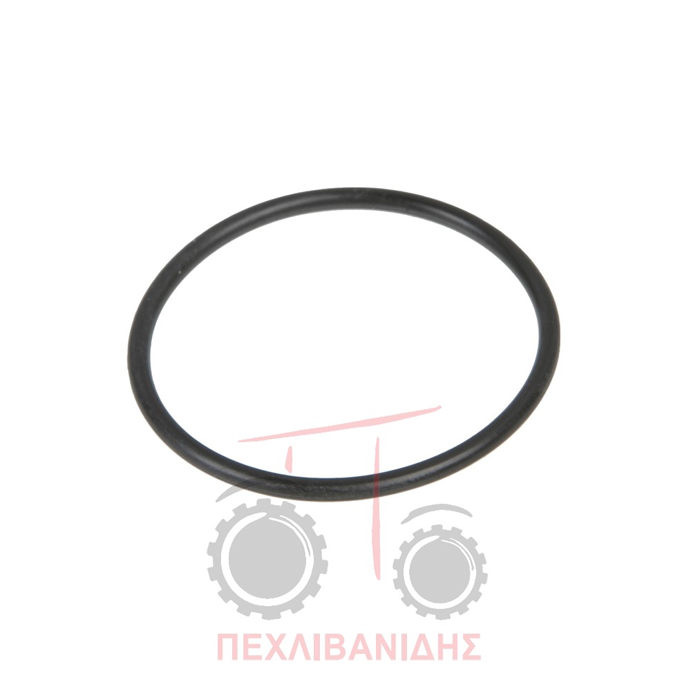 Όρινγκ εμπρός διαφορικού Massey Ferguson 390-398-399