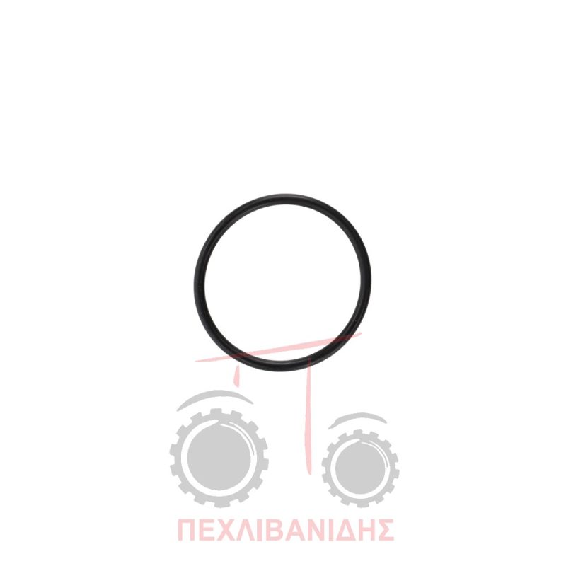 Όρινγκ σασμάν ρεβέρσας Massey Ferguson 3625-3635-3645