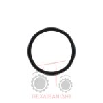 Τσιμούχα μειωτήρα μπροστά διαφορικού 170x195x18 Massey Ferguson 290-3060-390-398-399-4200-4300 Τσιμούχα μειωτήρα μπροστά διαφορικού 170x195x18 Massey Ferguson 290-3060-390-398-399-4200-4300