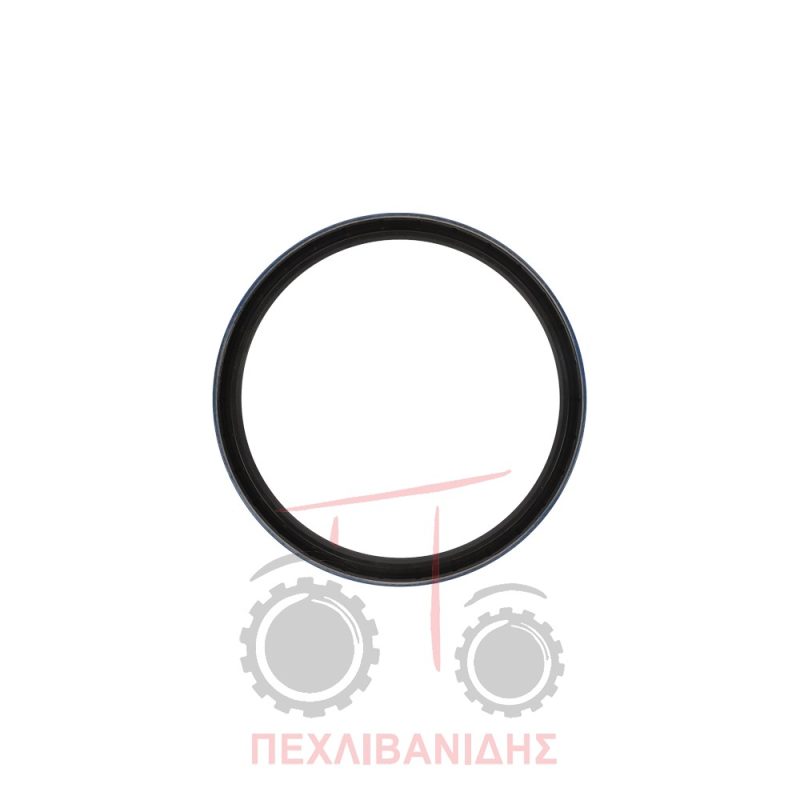 Τσιμούχα μειωτήρα μπροστά διαφορικού 170x195x18 Massey Ferguson 290-3060-390-398-399-4200-4300