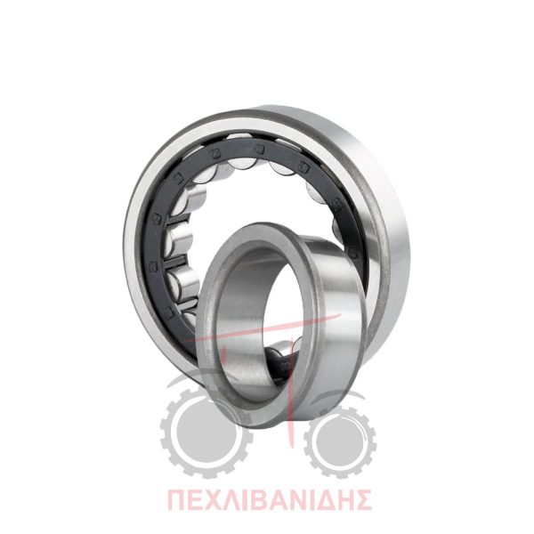 Ρουλεμάν πίσω μειωτήρα Massey Ferguson 294C