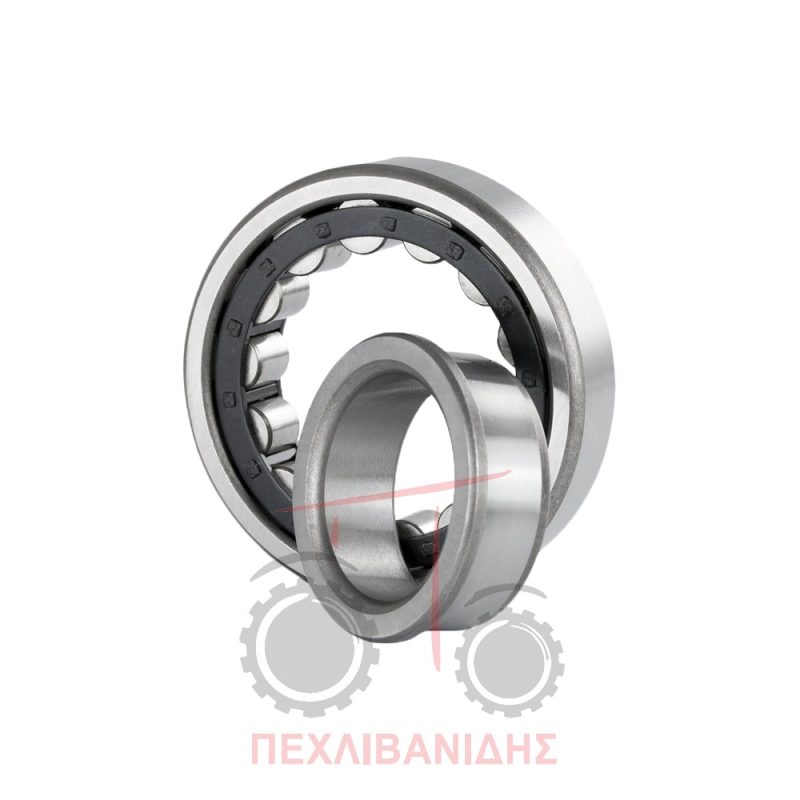 Ρουλεμάν πίσω μειωτήρα Massey Ferguson 294C Ρουλεμάν πίσω μειωτήρα Massey Ferguson 294C