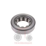 Ρουλεμάν PTO Massey Ferguson 2640-2680-3655-3690 Ρουλεμάν PTO Massey Ferguson 2640-2680-3655-3690