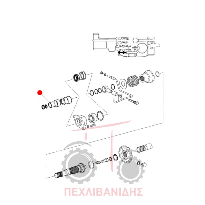 Δαχτυλίδι διαφορικού Massey Ferguson 3300