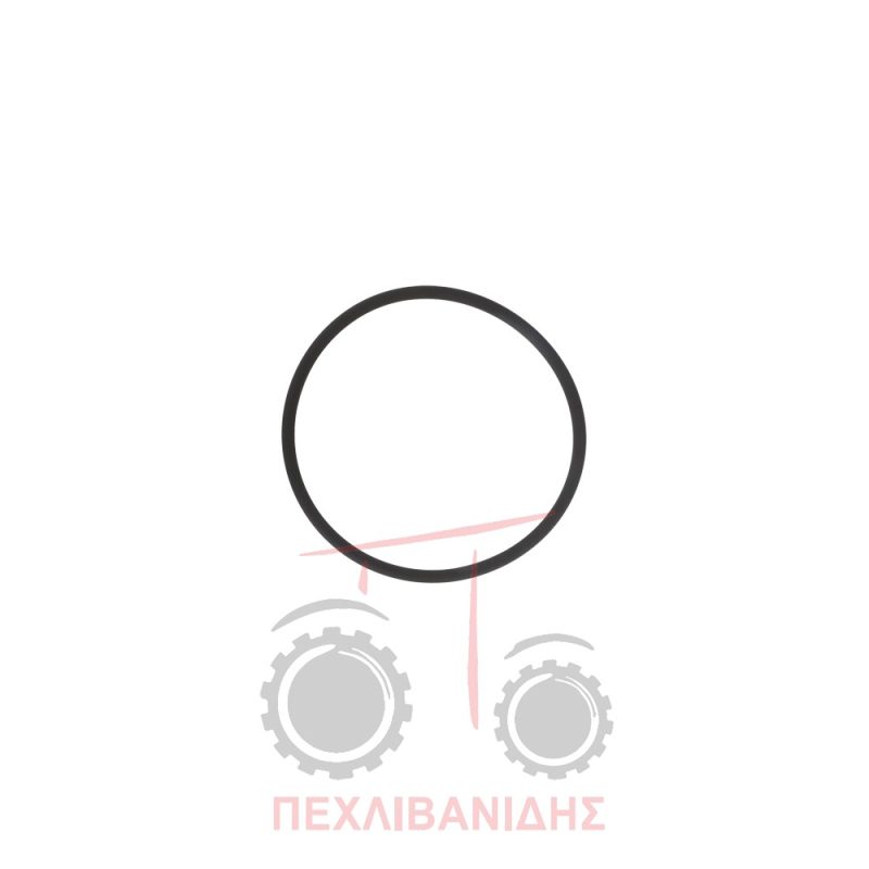 Όρινγκ καβαλέτου μπροστά διαφορικού 109.50x5.34 Massey Ferguson 174-194-274-294-3125-3645-3690-394