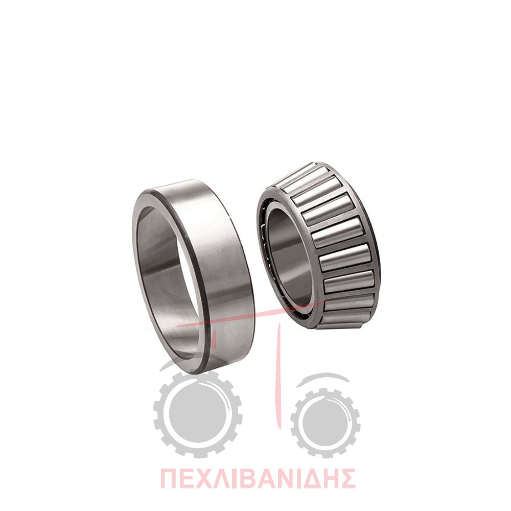 Ρουλεμάν διαφορικού Massey Ferguson 290-590-690
