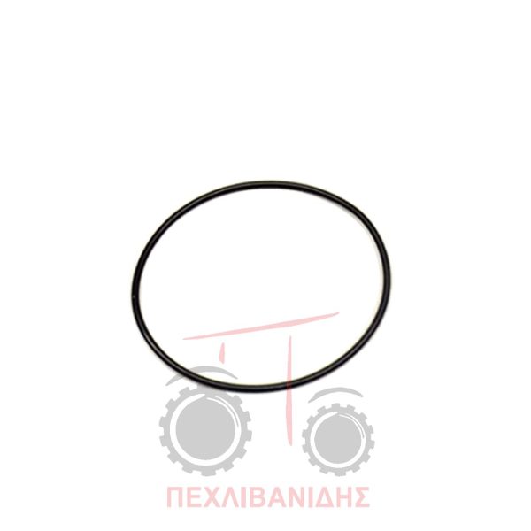 Όρινγκ εμπρός διαφορικού Massey Ferguson 3080-3655-3690