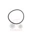 Όρινγκ καμπάνας διαφορικού Massey Ferguson 3080-3655-3670-3690