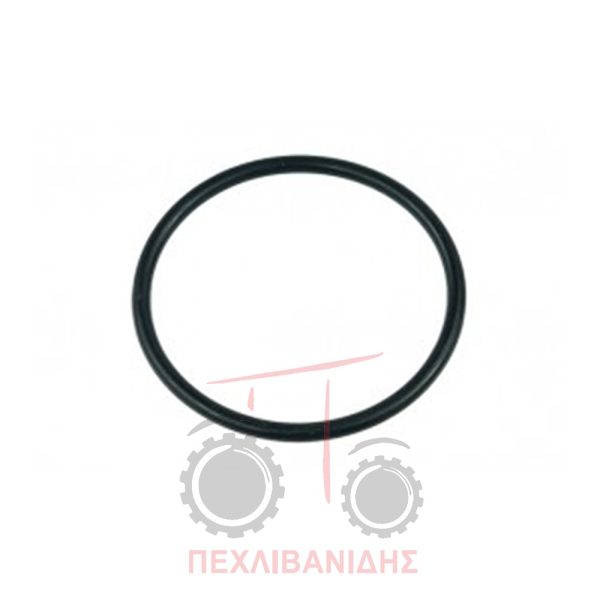 Όρινγκ διαφορικού Massey Ferguson 390-397-3060-6150