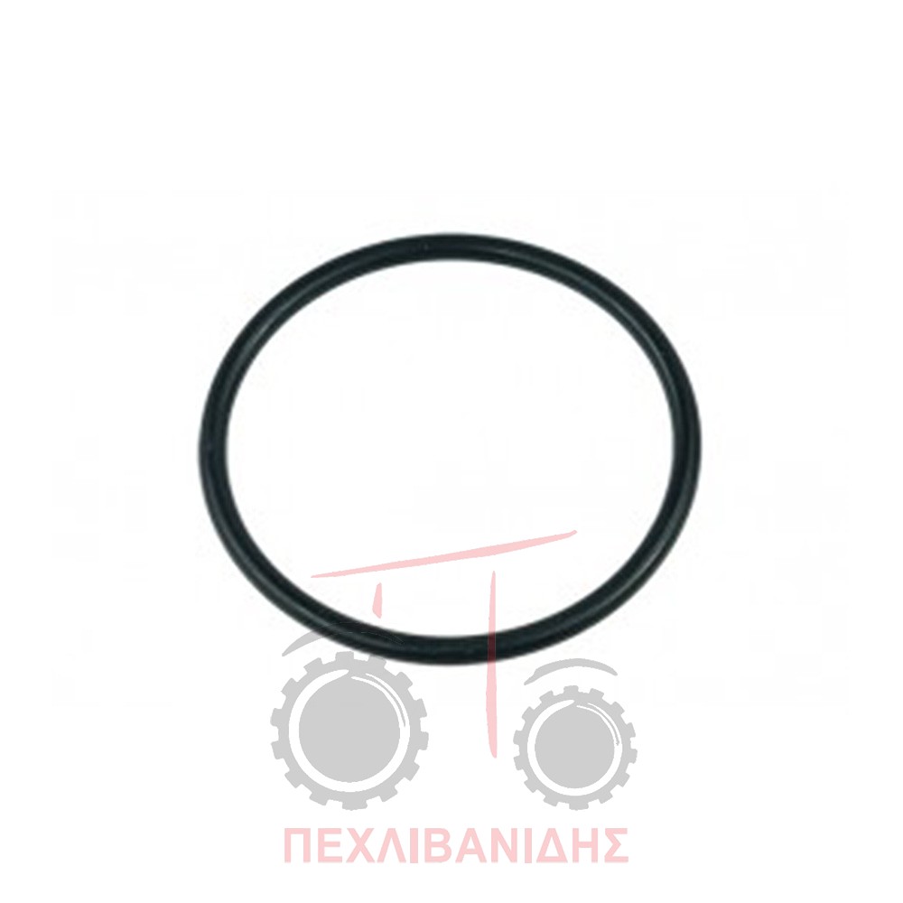 Όρινγκ διαφορικού Massey Ferguson 390-397-3060-6150