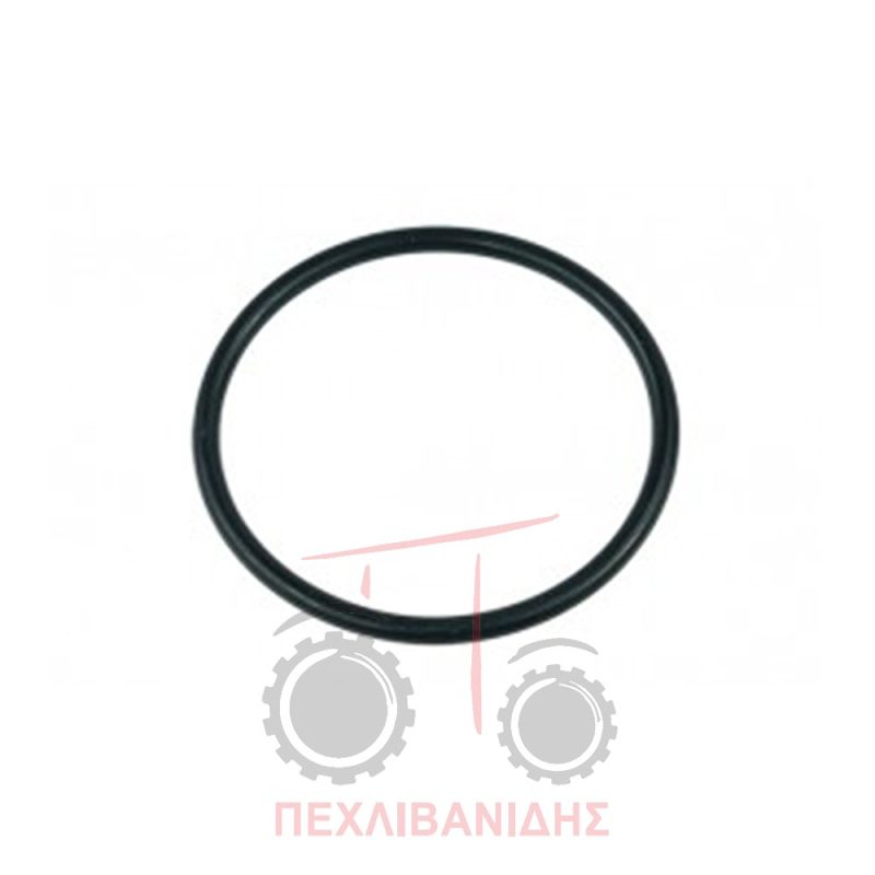 Όρινγκ διαφορικού Massey Ferguson 390-397-3060-6150 Όρινγκ διαφορικού Massey Ferguson 390-397-3060-6150
