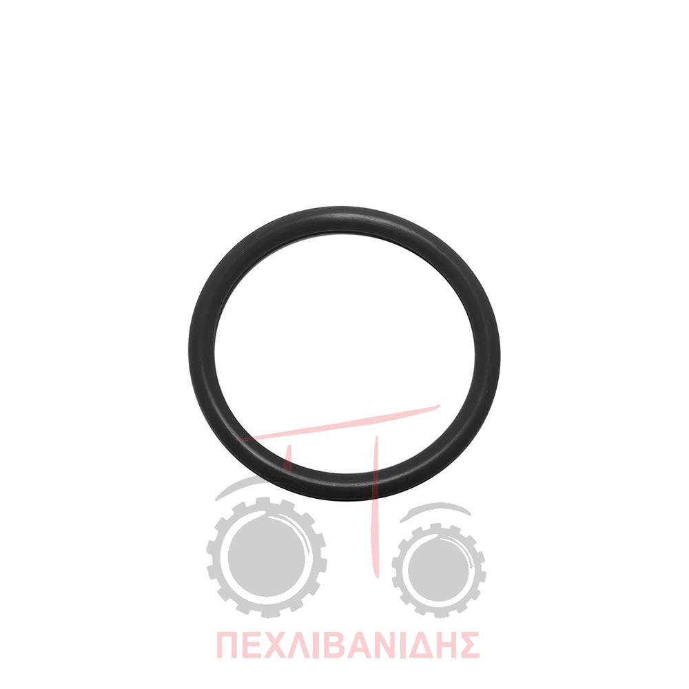 Όρινγκ διαφορικού Massey Ferguson 4270