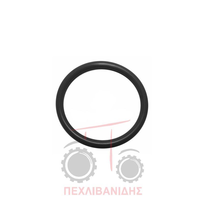 Όρινγκ διαφορικού Massey Ferguson 4270 Όρινγκ διαφορικού Massey Ferguson 4270