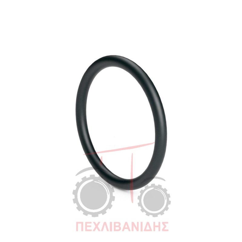 Όρινγκ διαφορικού Massey Ferguson 188-590-595