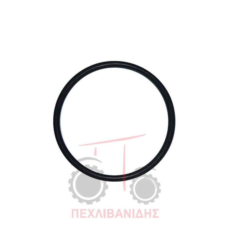 Όρινγκ διαφορικού Massey Ferguson 4200-4300-399