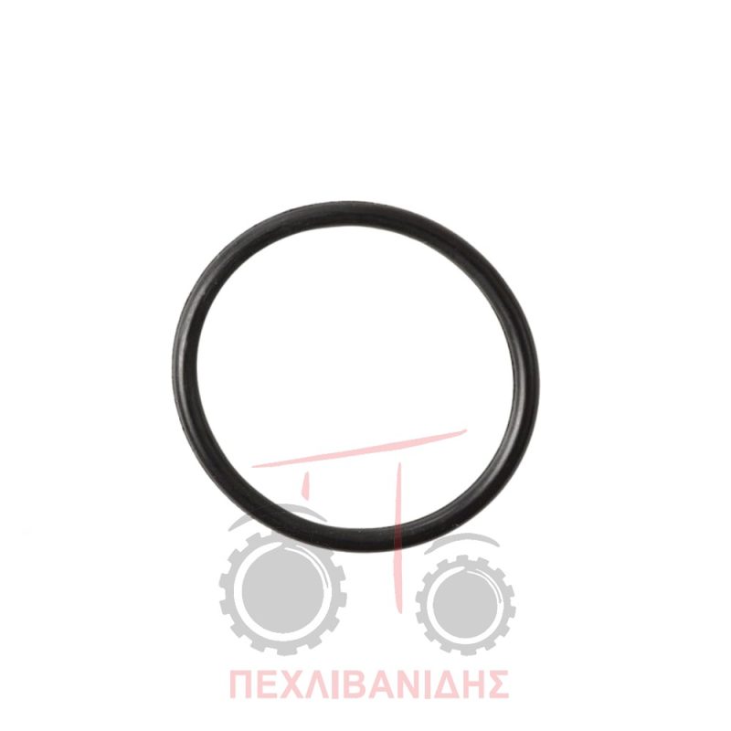 Όρινγκ διαφορικού Massey Ferguson 4270 Όρινγκ διαφορικού Massey Ferguson 4270
