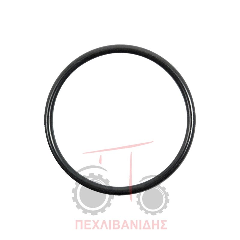 Όρινγκ πηνίου μπροστά διαφορικού Massey Ferguson 390-3080-3690-8200