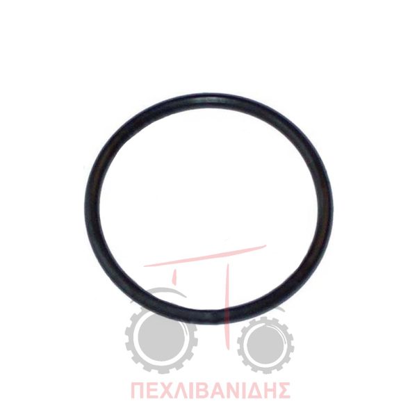 Σετ όρινγκ εμπρός διαφορικού Massey Ferguson 399