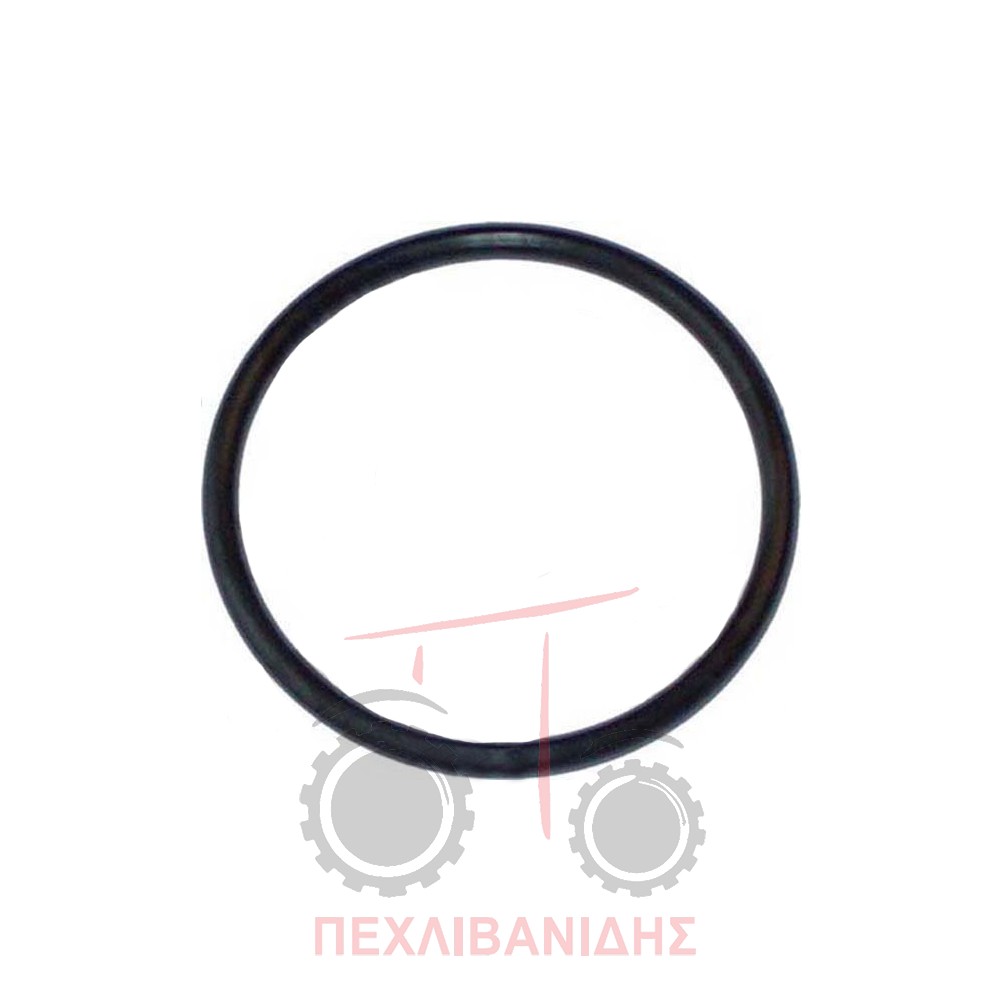 Σετ όρινγκ εμπρός διαφορικού Massey Ferguson 399