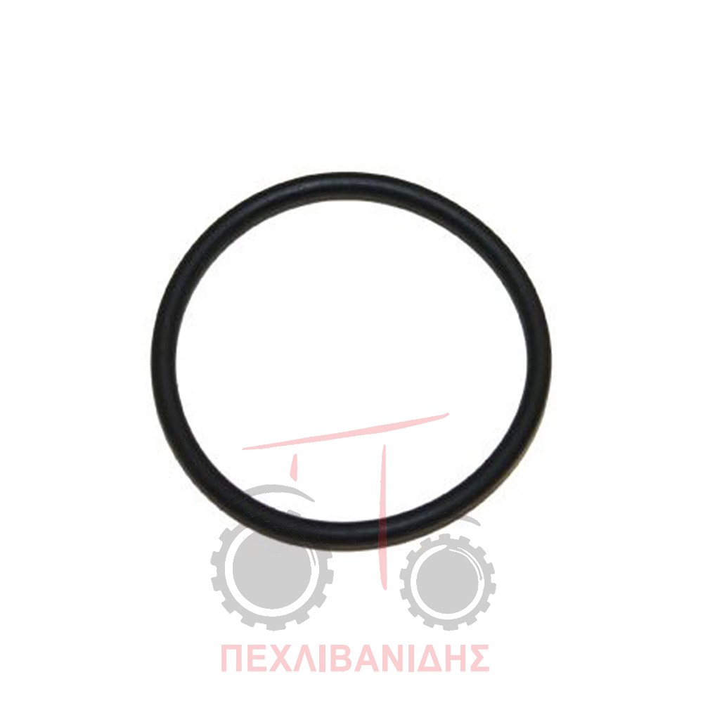 Όρινγκ διαφορικού Massey Ferguson 399