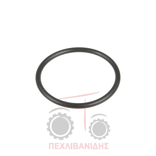 Όρινγκ εκκίνησης διαφορικού Massey Ferguson 3300-3400