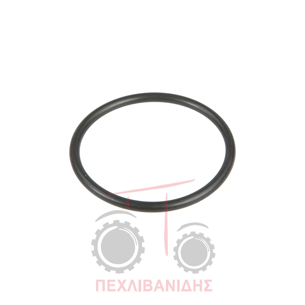 Όρινγκ εκκίνησης διαφορικού Massey Ferguson 3300-3400