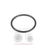 Όρινγκ εκκίνησης διαφορικού Massey Ferguson 3300-3400 Όρινγκ εκκίνησης διαφορικού Massey Ferguson 3300-3400