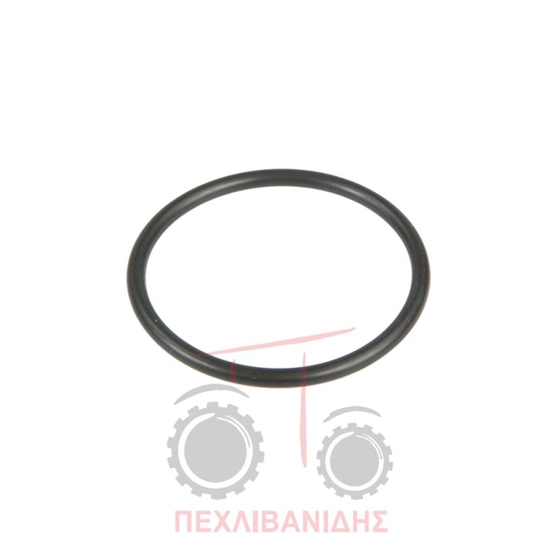Όρινγκ εκκίνησης διαφορικού Massey Ferguson 3300-3400