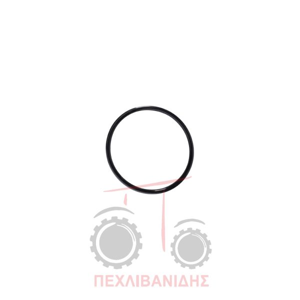 Όρινγκ κάρου μπροστά διαφορικού Massey Ferguson 3080-3125-3690-390-4200-4300-5400-5612-5700-6180-6200-64008100-8220-8250