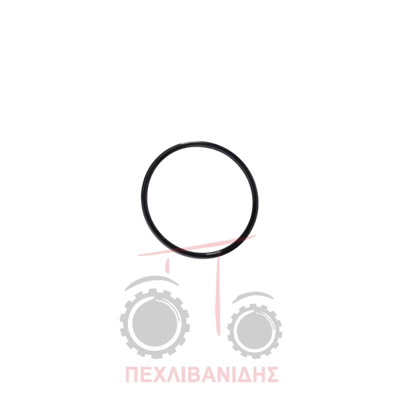 Όρινγκ κάρου μπροστά διαφορικού Massey Ferguson 3080-3125-3690-390-4200-4300-5400-5612-5700-6180-6200-64008100-8220-8250 Όρινγκ κάρου μπροστά διαφορικού Massey Ferguson 3080-3125-3690-390-4200-4300-5400-5612-5700-6180-6200-64008100-8220-8250